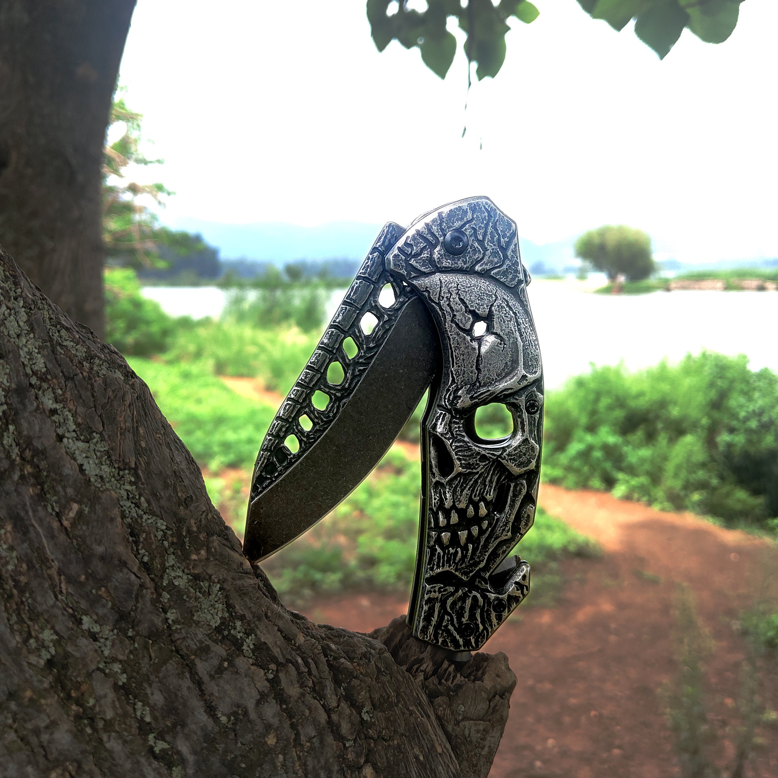 DRAGONSMILE Pocket Folding Knife with 3D Skull Handle